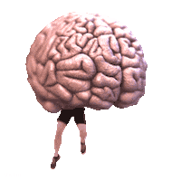 Exercise Studying Sticker by Sholim