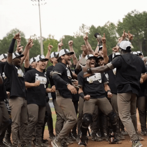 Celebrate College World Series GIF by Vanderbilt Athletics