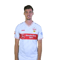 Arme Verschränken Stenzel Sticker by VfB Stuttgart