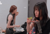 Koko GIF
