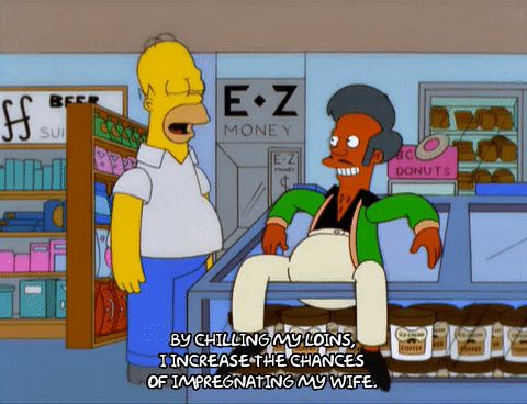 homer simpson wife GIF