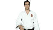 Fight Swipe Up Sticker by Czech judo