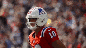 Football Nfl GIF by New England Patriots