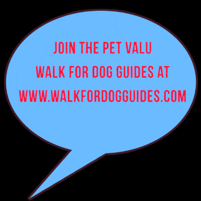 Lfcdogguides giphygifmaker giphygifmakermobile dog guides walk for dog guides GIF