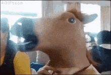 Horses Seo GIF by Kiwosan