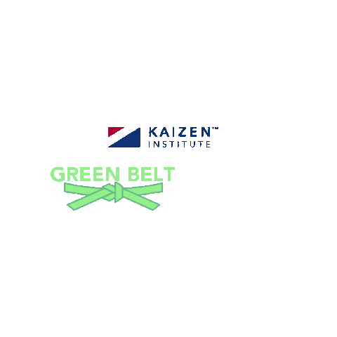 kaizeninstitutemexico giphygifmaker lean kaizen greenbelt Sticker
