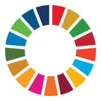Sdg Sticker by Ten Stripes