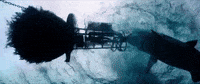 sony home ent GIF by The Shallows
