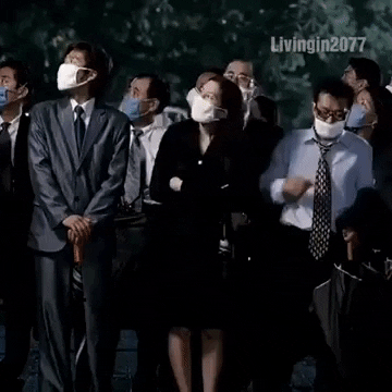 vegetka giphyupload GIF