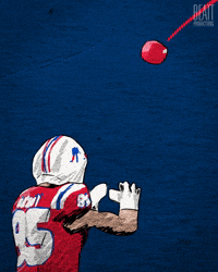 New England Patriots Football GIF