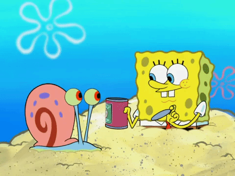season 8 GIF by SpongeBob SquarePants