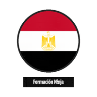 Egypt Flag Sticker by Formación Ninja