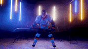 Hockey Echl GIF by Toledo Walleye