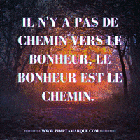 Business Canada GIF by PIMP TA MARQUE