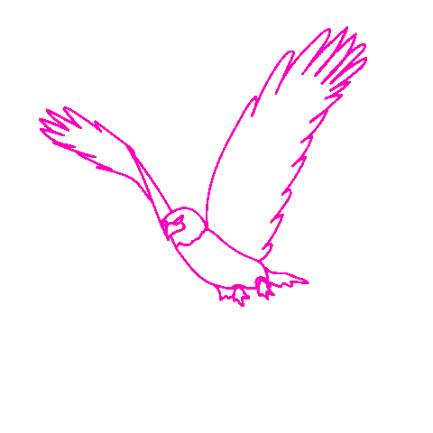 Illustration Bird Sticker by sgnightfest