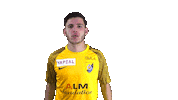 SRDOfficiel football celebration srd fiere Sticker