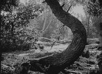 josephine baker siren of the tropics GIF by Maudit