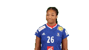 France Handball Sticker by EHF