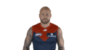 melbourne football club yes Sticker by Melbournefc