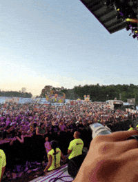 Rock Star Festival GIF by Wrekonize
