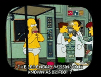 Season 1 GIF by The Simpsons