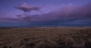 new mexico albuquerque GIF