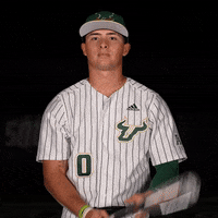 South Florida Baseball GIF by USF Athletics