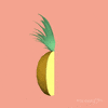 Loop 3D GIF by Animation Domination High-Def