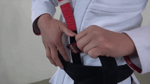 ritchieyip giphygifmaker bjj bjj belt GIF