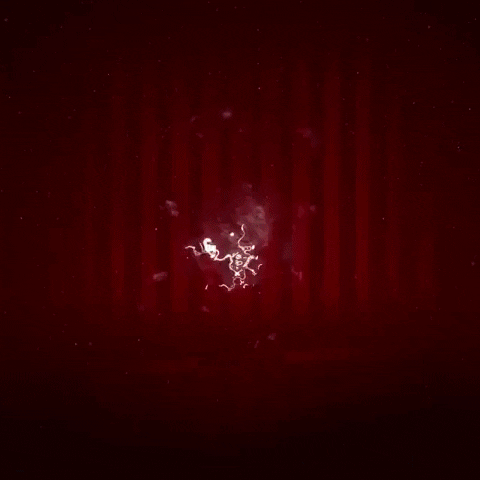 werkself hradekcy GIF by Bayer 04 Leverkusen