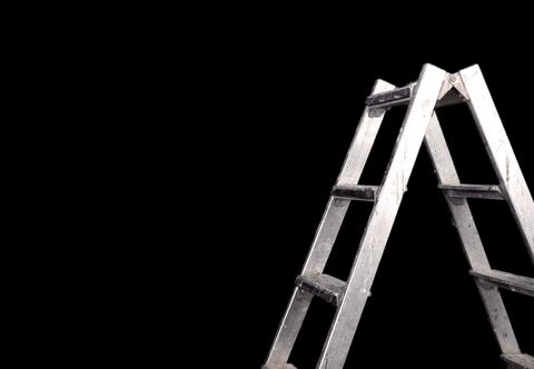 Redknights GIF by Red Knights Tübingen