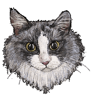 Cat Sticker