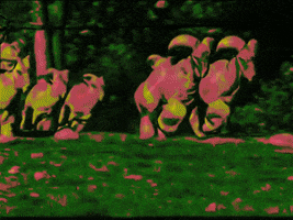 MFDtheArtist trippy weird animal colorful GIF