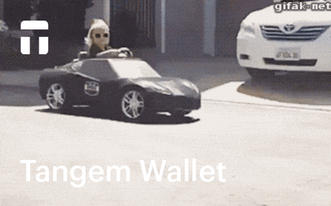 tangem_ giphyupload crypto cold wallet coldwallet GIF