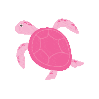 Sea Turtle Pink Sticker by pinknproper