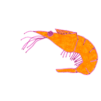 fantasia usb Sticker by marina noseque