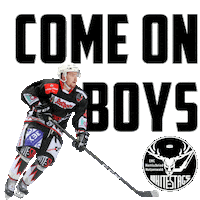 Eishockey Sticker by EHC Basel