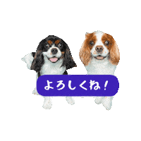 Dogs Smile Sticker