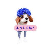 Dogs Cavalierkingcharlesspaniel Sticker