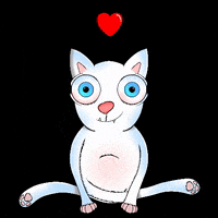 Cat Love GIF by RARO