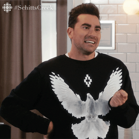 Schitts Creek Ok GIF by CBC