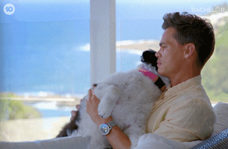 Puppy Cuddle GIF by The Bachelor Australia
