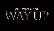 Way Up Turkey GIF by Ashwin Gane