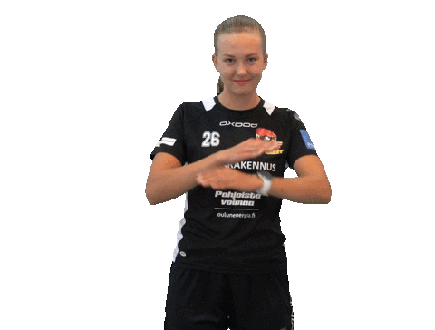 Floorball Salibandy Sticker by F-liiga