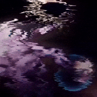 Zdonix GIF