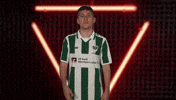 Proud Preußen Münster GIF by Bundesliga