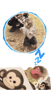 Good Night Fun Sticker
