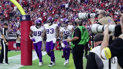 GIF by Minnesota Vikings