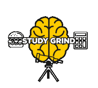 studying final exam Sticker by University of Central Florida