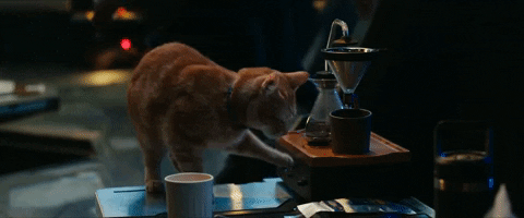 Immortal_Tyrant giphyupload GIF